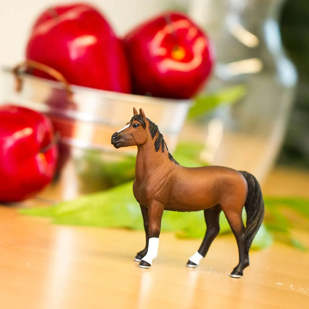 Safari Ltd. - Morgan Stallion